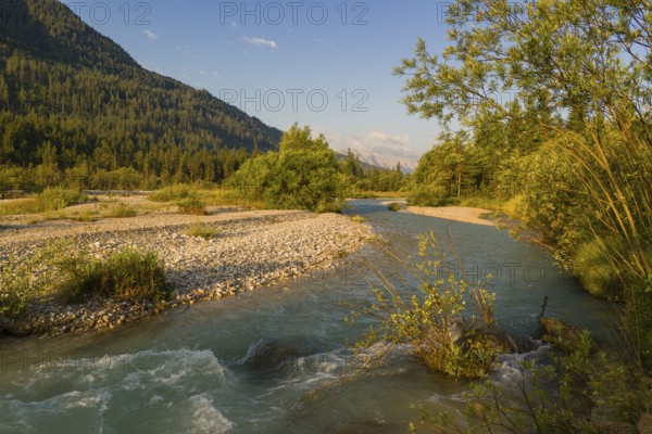 Isar valley nature conservancy area. The wild Isar river flows through its gravel bed past driftwood and entrained trees and bushes . Early morning