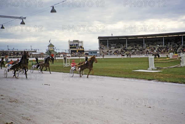 Trotting race in a stadium as part of an equestrian event, Melbourne, Victoria, Australia, 1956, Oceania