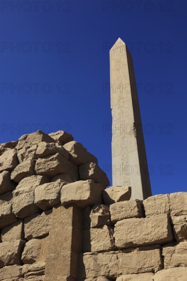 Luxor, Karnak Temple, obelisk of the pharaoh Hatshepsut, stands in the Amun Temple in Karnak, Africa, Upper Egypt, UNESCO World Heritage Site