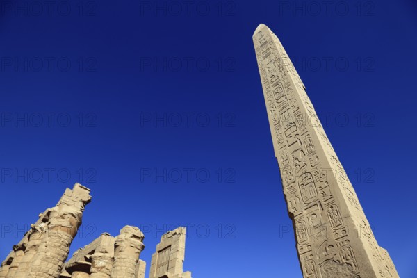 Luxor, Karnak Temple, obelisks of Thutmosis I and Hatshepsut in the temple complex at Karnak, Africa, Upper Egypt, UNESCO World Heritage Site