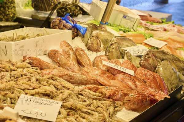 Fresh cought fish for selling on a daily market at 'Mercato di Rialto' town square in Venice, Italy, Europe