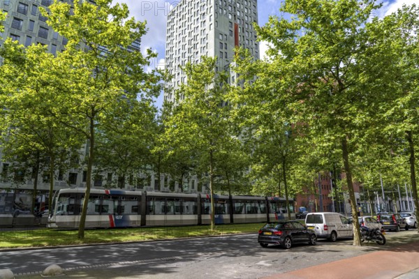 Urban greening, inner-city street Laan op Zuid, in Rotterdam's Feijenoord district, 4 lanes, 2 tram tracks, cycle paths on both sides, pavements and parking lanes, planted with hundreds of plane trees over around 1.5 km, providing shade, cooling in summer, tram tracks with grass surface, less surface sealing, urban climate, microclimate in the city, Rotterdam, Netherlands