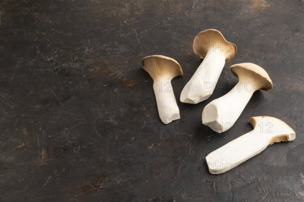 King Oyster mushrooms or Eringi (Pleurotus eryngii) on black concrete background. Side view, copy space