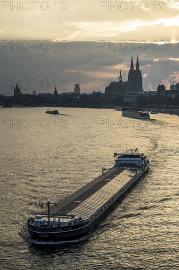 The Rhine near Cologne, sunset, Cologne Cathedral, cargo ship, North Rhine-Westphalia, Germany, Europe