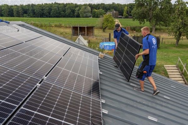 Installation of solar modules on the roof of a barn on a farm, over 240 photovoltaic modules are installed on the roof, North Rhine-Westphalia, Germany, Europe