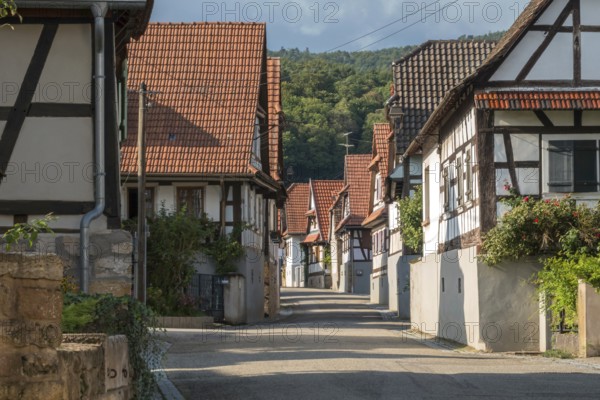 Village street with half-timbered houses, Cleebourg, Département Bas-Rhin, Alsace, France, Europe