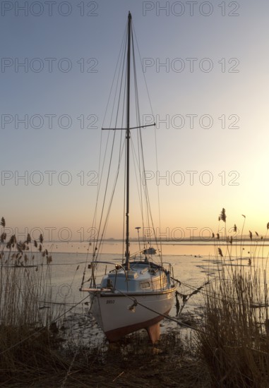 Yacht at moorings winter sunset, River Deben, Ramsholt, Suffolk, England, UK