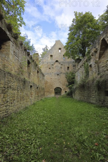 Disibodenberg Monastery built 14th century, ruin, Odernheim am Glan, Rhineland-Palatinate, Germany, Europe