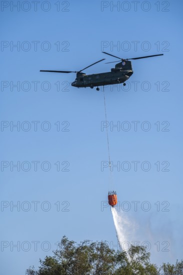 Forest fire in the German-Dutch border region near Niederkrüchten-Elmpt, in a nature reserve, use of fire-fighting helicopters, Boeing CH-47 Chinook helicopter, of the Dutch Air Force with extinguishing water tank, Bambi Bucket max