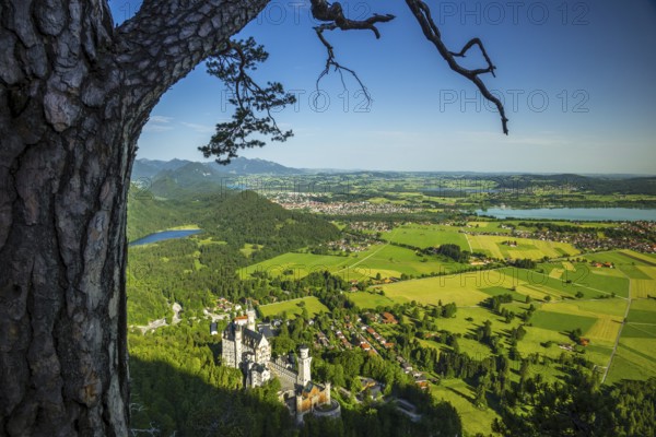 Neuschwanstein Castle, behind it the Schwansee, Weissensee, Fuessen, Hopfensee and Forggensee, Schwangau, Ostallgaeu, Allgaeu, Swabia, Bavaria, Germany, Europe