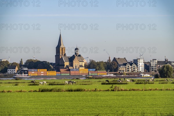 Skyline of Emmerich, on the Lower Rhine, St Martini Church, pastures on the left bank of the Rhine, cows, container cargo ship, North Rhine-Westphalia, Germany, Europe