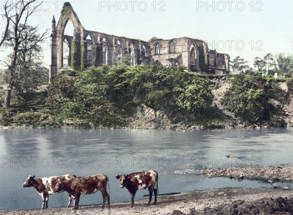 Bolton Abbey is the ruin of a 12th century monastery in Yorkshire, England, around 1890, Historic, digitally restored reproduction from a 19th century original