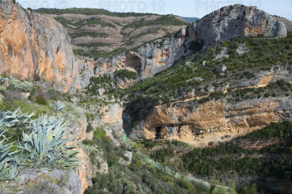 Deep gorge with steep rock faces and a river, surrounded by vegetation-rich mountains, Vero River, Alquézar, Alquezar, Huesca, Aragón, Aragon, Pyrenees, Spain, Europe