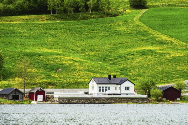 Mountains and Fjord over Norwegian Village, Olden, Innvikfjorden, Norway, Europe