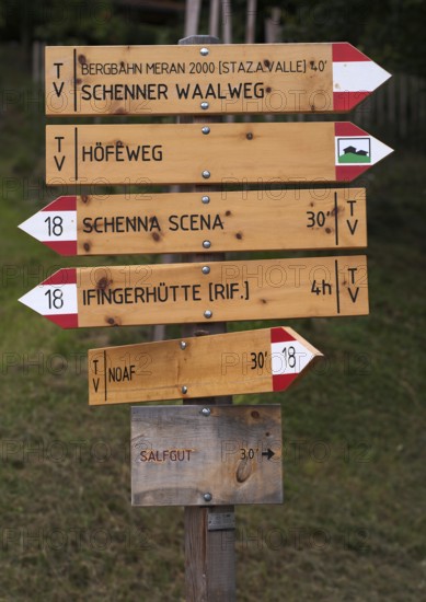 Signposts, signpost forest, signposts, Schenner Waalweg, Neuwaal, Schenna, Scena, South Tyrol, Autonomous Province of Bolzano, Italy, Europe