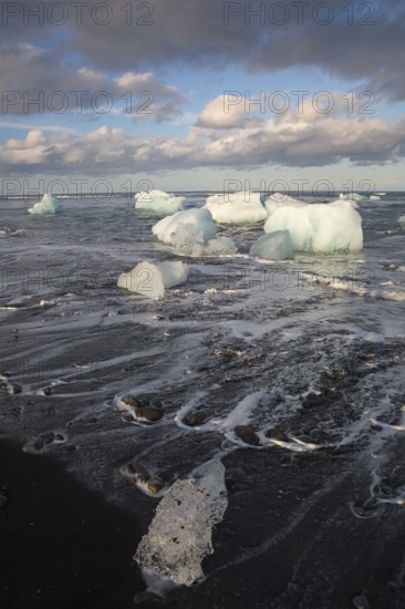 Little icebergs and crushed ice on the black beach at Joekulsarlon glacial lake