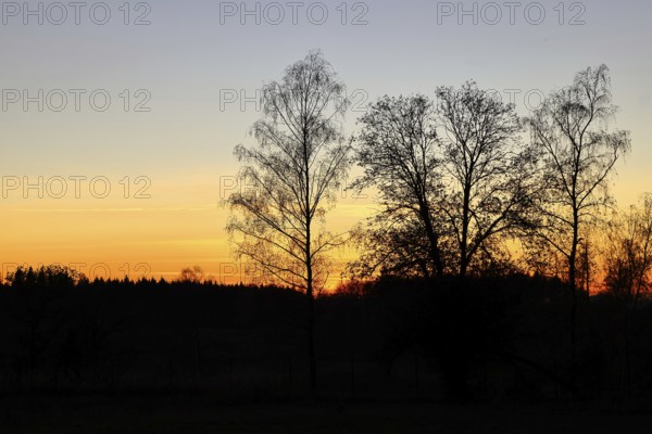 Sunset with beautiful red sky and forest silhouette, silhouette photograph, Wilnsdorf, North Rhine-Westphalia, Germany, Europe