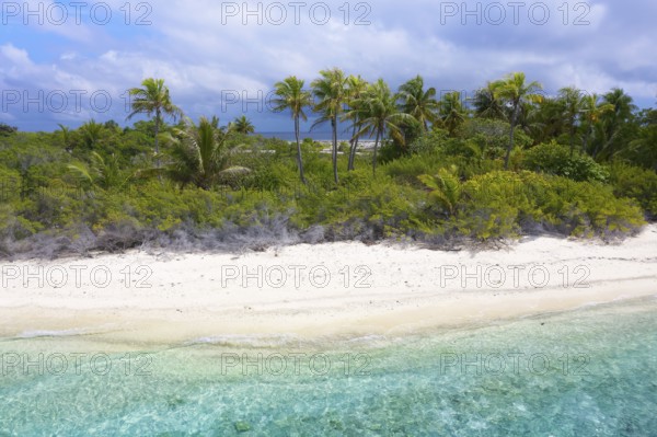 Aerial view, Typical island landscape, uninhabited island, lagoon, sandy beach, bushes and coconut palms (Cocos nicifera), Fakarava atoll, Tuamotu archipelago, Tahiti, Society Islands, Leeward Islands, French Polynesia, Oceania