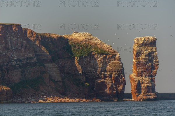 Red red sandstone cliff edge, Heligoland high sea island, Lange Anna, North Sea, blue sky, Pinneberg district, Schleswig-Holstein, Germany, Europe