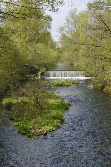 Waterfall on the River Oker in the Oker Valley, Vienenburg, Goslar, Harz, Lower Saxony, Germany, Europe