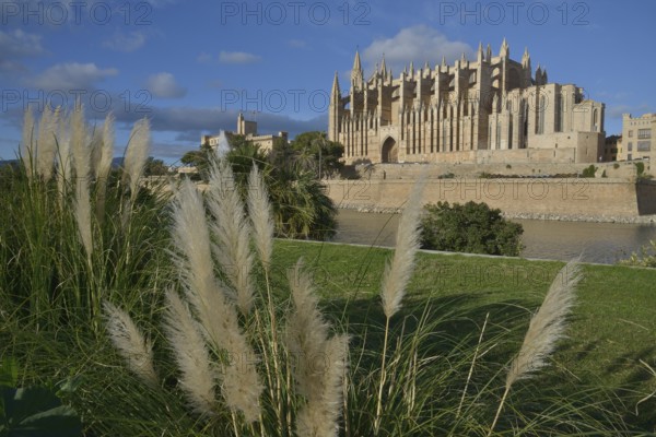 La Seu Cathedral, Palma Cathedral, Palma, Majorca, Balearic Islands, Spain, Europe