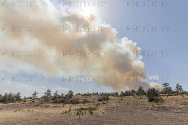 Forest fire wreaks havoc on causse de sauveterre. Montuejols, Aveyron, Cevennes, France, Europe