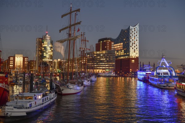 View over Hamburg harbour to the Elbe Philharmonic Hall, blue hour, Hafencity, Hamburg, Germany, Europe