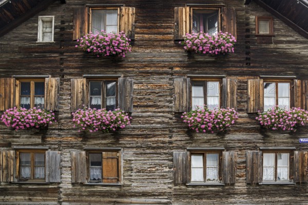 Old wooden house with geraniums in front of the windows in Zollstraße, Oberstdorf, Oberallgäu, Allgäu, Swabia, Bavaria, Germany, Europe