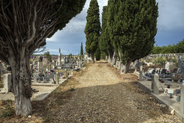 Graves, gravestones, cemetery in Puimoisson, Provence, region Provence-Alpes-Côte d'Azur, department Alpes-de-Haute-Provence, France, Europe