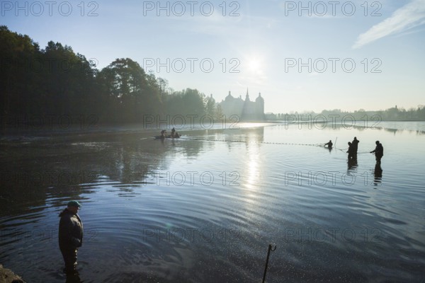 Fishing of the castle pond in Moritzburg