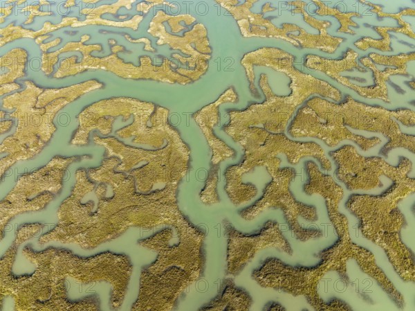 Network of channels and streams at low tide, in the marshland of the Bahía de Cádiz, aerial view, drone shot, Cádiz province, Andalusia, Spain, Europe