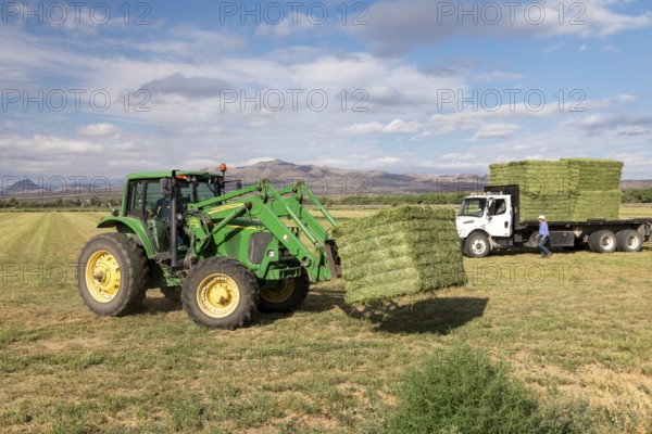 San Acacia, New Mexico, Bales of alfalfa are stacked on a farm near the Rio Grande. The farm relies on water from the river for irrigation, but its quota has been cut back sharply due to the severe drought in the southwest