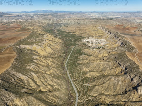 The Gor river valley grown with cultivated olive trees (Olea eropaea) and the town of Gorafe, aerial view, drone shot, Gorafe Desert, UNESCO Granada Geopark, Granada province, Andalusia, Spain, Europe