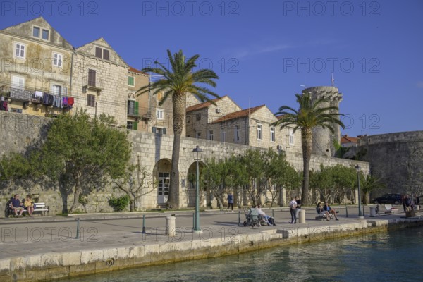 At the harbour, Korcula, Dubrovnik-Neretva County, Croatia, Europe