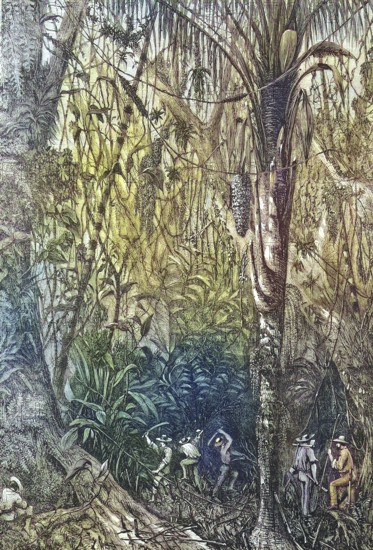 The Breakthrough of the Road to Nicaragua into the Miskito Reserve, through a Jungle, 1867, Expedition of Captain Bedford-Pim, Historic, digitally restored reproduction of an original 19th century artwork, exact original date unknown