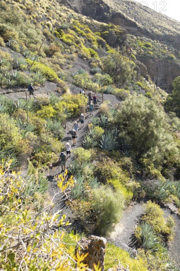 Caldera de Bandama in the Bandama Natural Park or Monumento Natural de Bandama, Las Palmas Province, Gran Canaria, Canary Islands, Spain, Europe