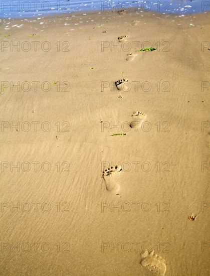 Footprints in the sand at Holkham beach, north Norfolk coast, England, United Kingdom, Europe