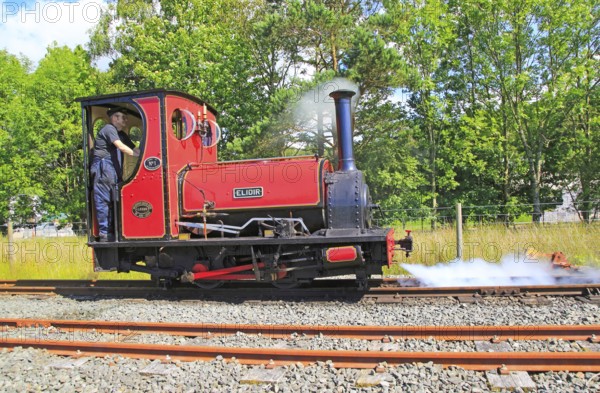 Steam locomotive engine train 'Elidor', Llanberis lake railway, Rheilffordd Lllyn Padarn, Gwynedd, Snowdonia, north Wales, UK