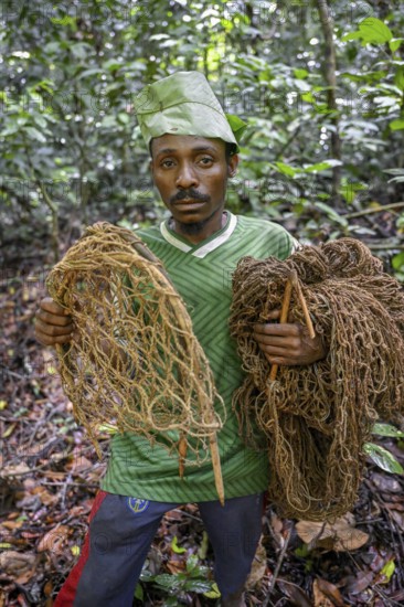 Pygmy of the Baka or BaAka people with his traps and hunting nets in the forest, Dzanga-Sangha Special Dense Forest Reserve, Sangha-Mbaéré Prefecture, Central African Republic, Africa