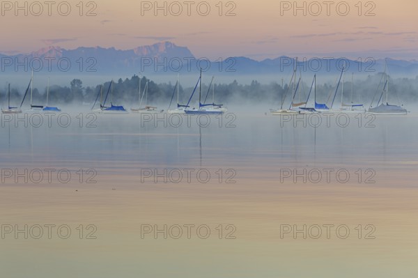 Sailboats reflected in the lake, morning mood, peace, silence, fog, Lake Starnberg, behind Zugspitze, Wetterstein mountains, Bavaria, Germany, Europe