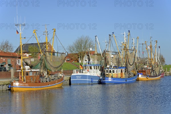 Crab cutter in the harbour of Greetsiel, blue sky, North Sea, Lower Saxony, Germany, Europe