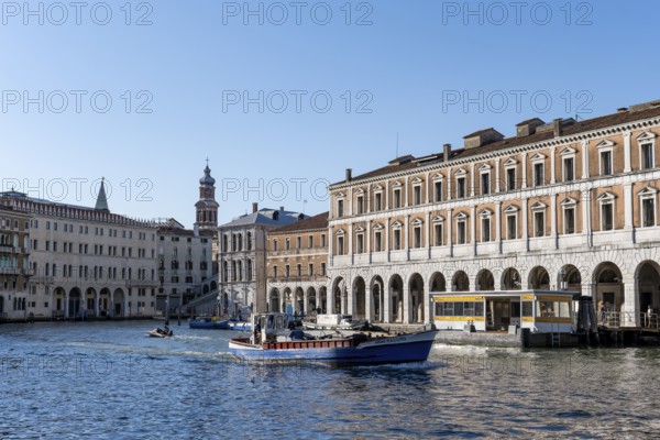 Mercato di Rialto on the Grand Canal, Venice, Veneto, Italy, Europe