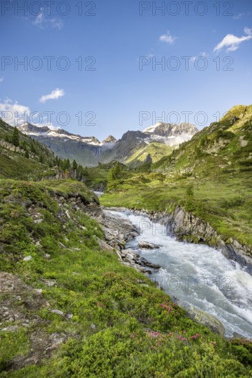 Mountain landscape with mountain stream Zemmbach, behind mountain peak Kleiner Mörcher, Berliner Höhenweg, Zillertal Alps, Tyrol, Austria, Europe