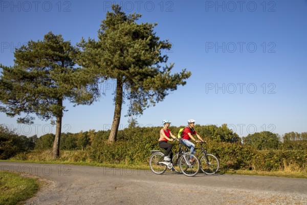 Cyclist, cycle tour in the Dingdener Heide nature reserve, heath and moorland landscape, north of the village of Dingden, part of Hamminkeln, cultural landscape, North Rhine-Westphalia, Hohe Mark Westmünsterland nature park Park