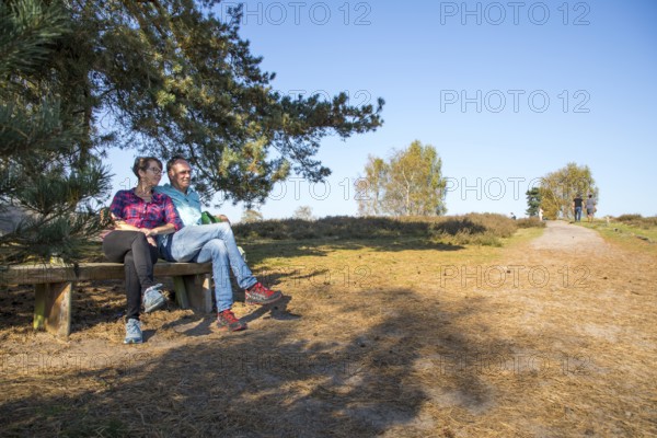 Hikers in the Westruper Heide, heathland near Haltern am See, Hohe Mark Westmünsterland nature park Park, North Rhine-Westphalia, Germany, Europe