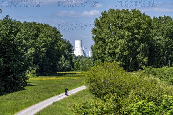 Rhine meadows near Duisburg-Beeckerwerth, footpath, cycle path on the Rhine dyke, view of the STEAG Walsum power station, coal-fired power station, North Rhine-Westphalia, Germany, Europe