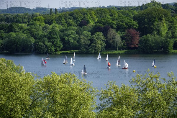 Sailing boats on Lake Baldeney in Essen, North Rhine-Westphalia, Germany, Europe