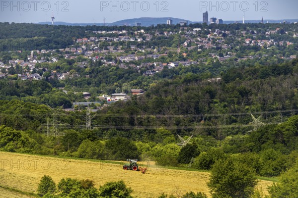 The skyline of Essen, skyscrapers in the city centre, view to the west, over the district Heisingen, from Velbert, farmer turning freshly cut hay, North Rhine-Westphalia, Germany, Europe