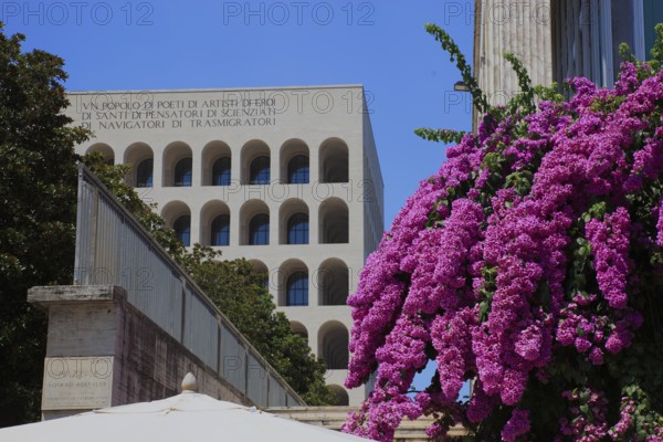 Butterfly bush, Buddleja davidii, butterfly bush, at the Palazzo della Civilta Italiana, Palace of Italian Civilisation, also Palazzo della Civilta del Lavoro, Colosseo quadrato, Esposizione Universale di Roma, Universal Exposition of Rome, EUR, Italy, Europe