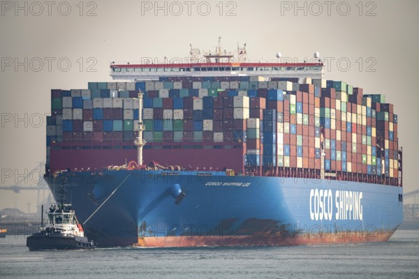 Harbour tug brings the container freighter Cosco Shipping Leo to its berth at Hutchison Ports ECT Euromax, at the Yangtzekanaal on Maasvlakte 2, Rotterdam, Netherlands